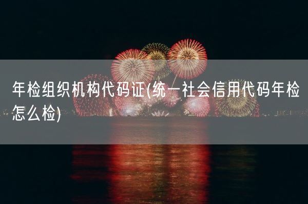 年检组织机构代码证(统一社会信用代码年检怎么检)(图1)