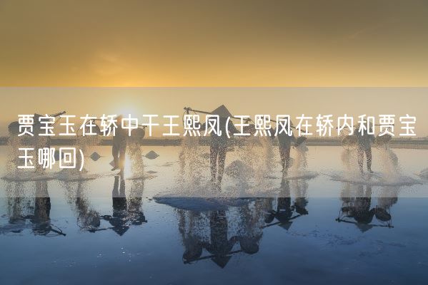 贾宝玉在轿中干王熙凤(王熙凤在轿内和贾宝玉哪回)(图1) 贾宝玉在轿中干王熙凤(王熙凤在轿内和贾宝玉哪回)(图1)