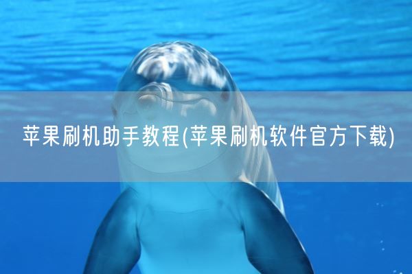 苹果刷机助手教程(苹果刷机软件官方下载)(图1)