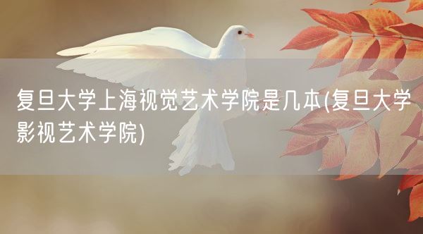 复旦大学上海视觉艺术学院是几本(复旦大学影视艺术学院)(图1)