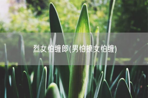 烈女怕缠郎(男怕撩女怕缠)(图1) 烈女怕缠郎(男怕撩女怕缠)(图1)