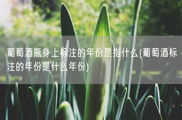 葡萄酒瓶身上标注的年份是指什么(葡萄酒标注的年份是什么年份)(图1)