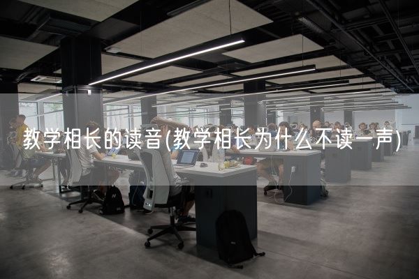 教学相长的读音(教学相长为什么不读一声)(图1)