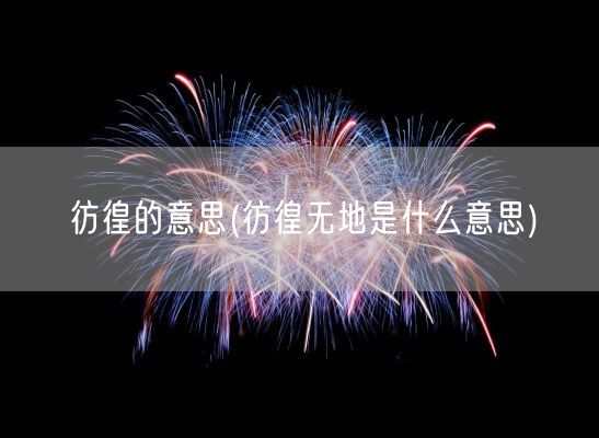 彷徨的意思(彷徨无地是什么意思)(图1)