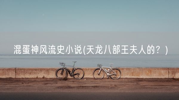 **神风流史小说(天龙八部王夫人的？)(图1)