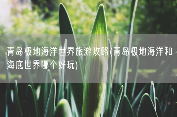 青岛极地海洋世界旅游攻略(青岛极地海洋和海底世界哪个好玩)(图1)