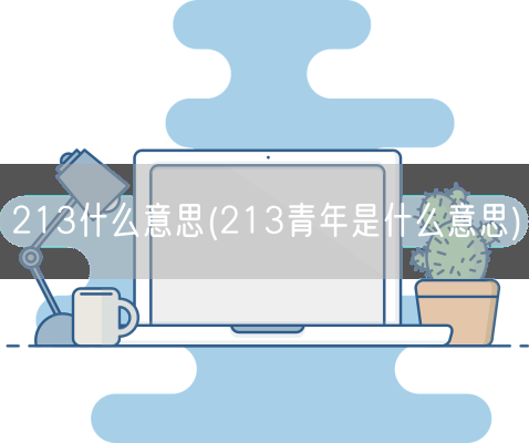 213什么意思(213青年是什么意思)(图1)