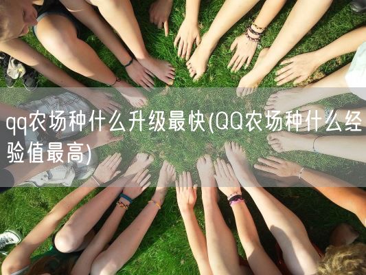 qq农场种什么升级最快(QQ农场种什么经验值最高)(图1)