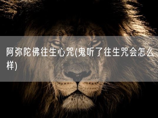 阿弥陀佛往生心咒(鬼听了往生咒会怎么样)(图1)