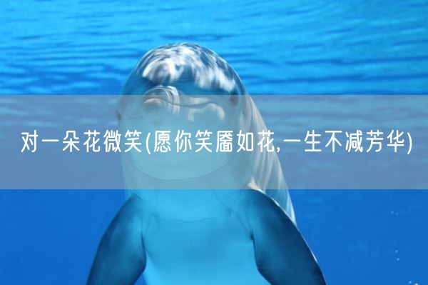 对一朵花微笑(愿你笑靥如花,一生不减芳华)(图1)
