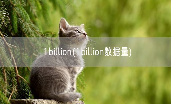 1billion(1billion数据量)(图1)