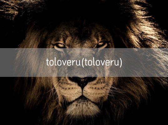 toloveru(toloveru)(图1)