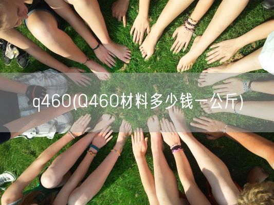 q460(Q460材料多少钱一公斤)(图1)