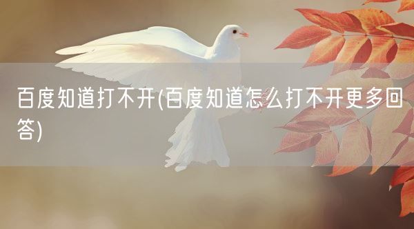 百度知道打不开(百度知道怎么打不开更多回答)(图1)
