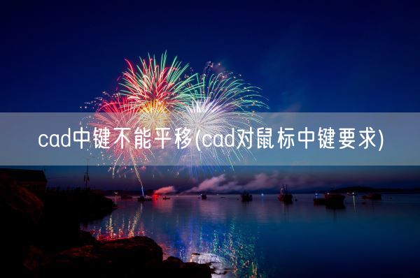 cad中键不能平移(cad对鼠标中键要求)(图1)