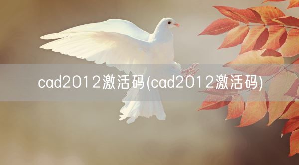 cad2012激活码(cad2012激活码)(图1)
