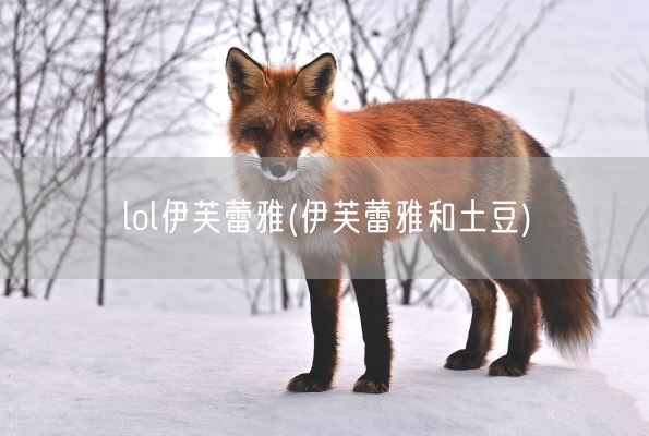 lol伊芙蕾雅(伊芙蕾雅和土豆)(图1)
