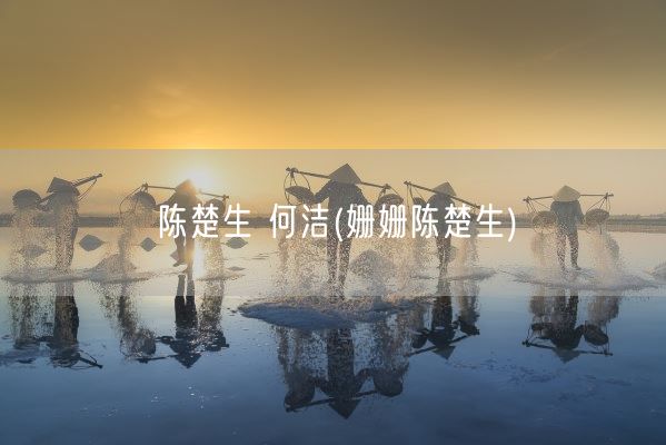 陈楚生 何洁(姗姗陈楚生)(图1)
