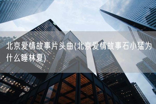 北京爱情故事片头曲(北京爱情故事石小猛为什么睡林夏)(图1)