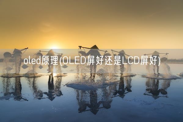 oled原理(OLED屏好还是LCD屏好)(图1)