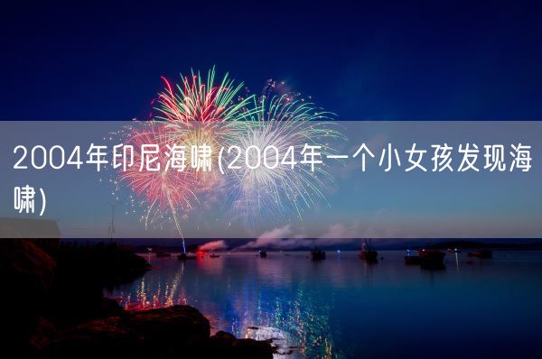 2004年印尼海啸(2004年一个小女孩发现海啸)(图1)