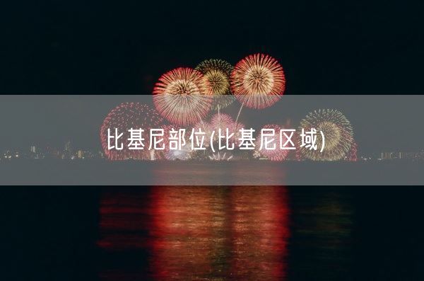 比基尼部位(比基尼区域)(图1)