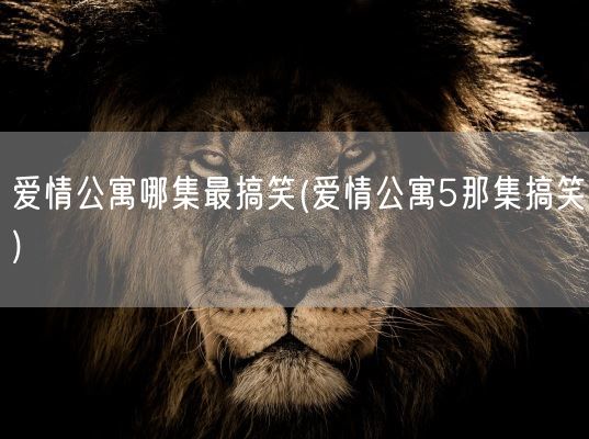爱情公寓哪集最搞笑(爱情公寓5那集搞笑)(图1)