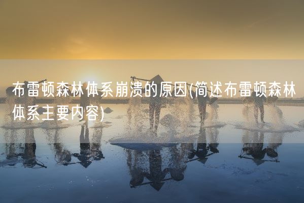 布雷顿森林体系崩溃的原因(简述布雷顿森林体系主要内容)(图1)