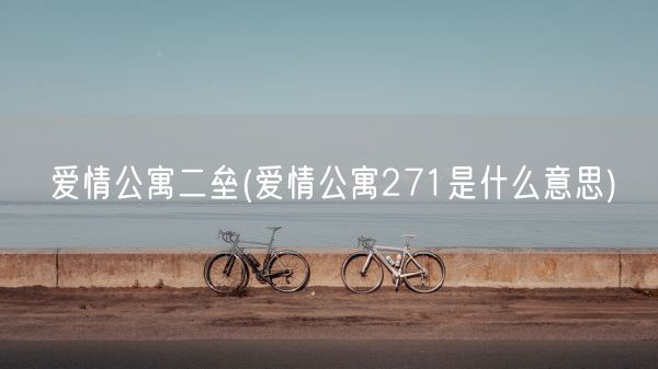 爱情公寓二垒(爱情公寓271是什么意思)(图1)