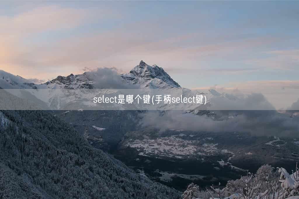 select是哪个键(手柄select键)(图1)