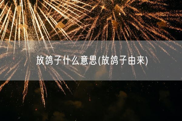 放鸽子什么意思(放鸽子由来)(图1)