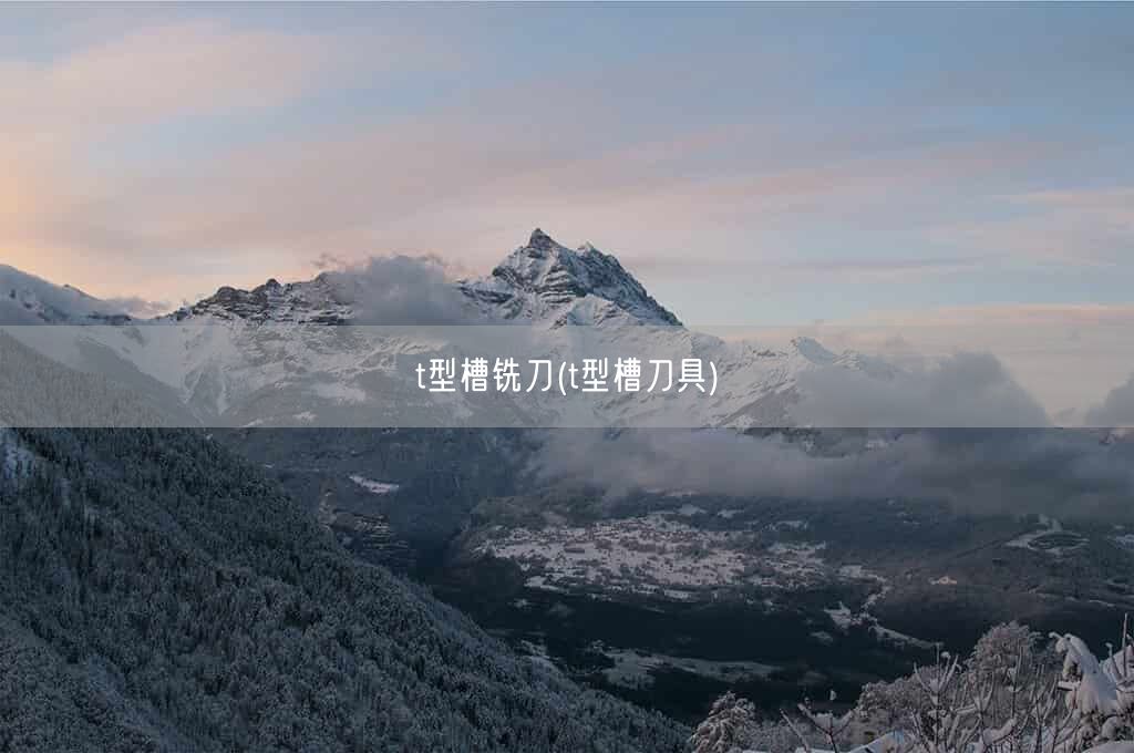 t型槽铣刀(t型槽刀具)(图1) t型槽铣刀(t型槽刀具)(图1)