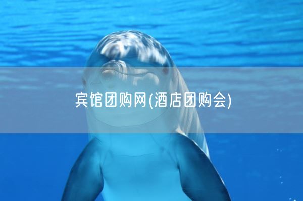 宾馆团购网(酒店团购会)(图1)