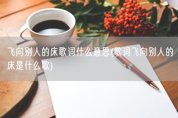 飞向别人的床歌词什么意思(歌词飞向别人的床是什么歌)(图1)