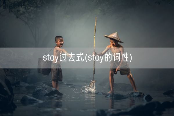 stay过去式(stay的词性)(图1)