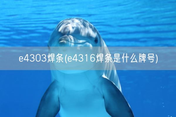 e4303焊条(e4316焊条是什么牌号)(图1)