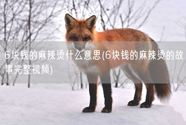 6块钱的麻辣烫什么意思(6块钱的麻辣烫的故事完整视频)(图1)