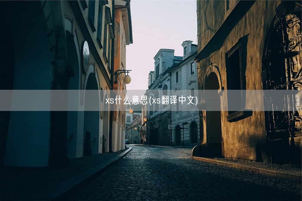 xs什么意思(xs翻译中文)(图1)