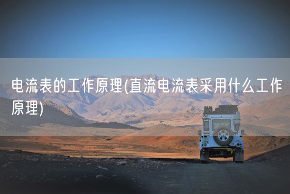 电流表的工作原理(直流电流表采用什么工作原理)(图1)