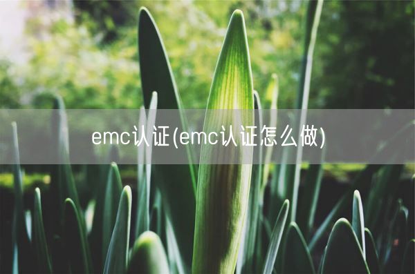 emc认证(emc认证怎么做)(图1)