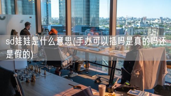 sd娃娃是什么意思(手办可以插吗是真的吗还是假的)(图1)