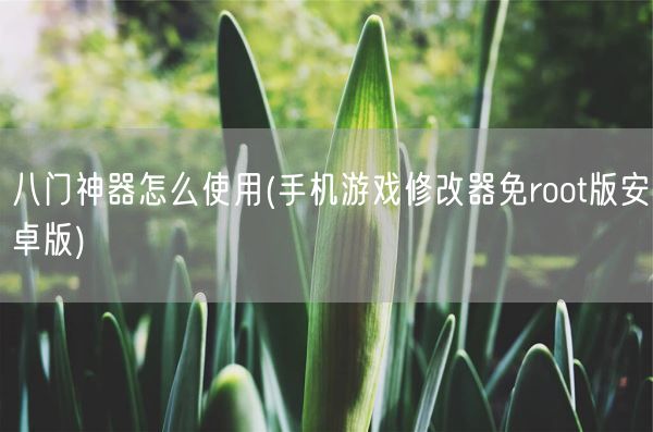 八门神器怎么使用(手机游戏修改器免root版安卓版)(图1) 八门神器怎么使用(手机游戏修改器免root版安卓版)(图1)