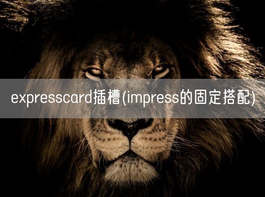 expresscard插槽(impress的固定搭配)(图1)
