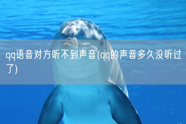 qq语音对方听不到声音(qq的声音多久没听过了)(图1)