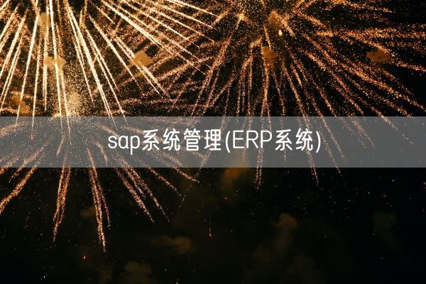 sap系统管理(ERP系统)(图1)