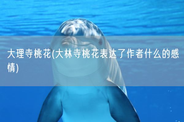 大理寺桃花(大林寺桃花表达了作者什么的感情)(图1) 大理寺桃花(大林寺桃花表达了作者什么的感情)(图1)