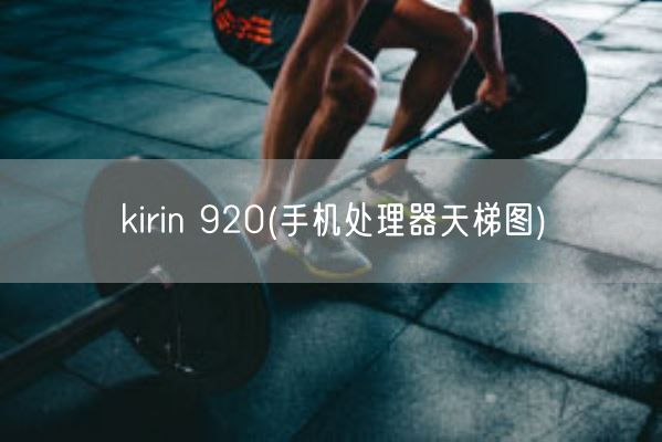 kirin 920(手机处理器天梯图)(图1)