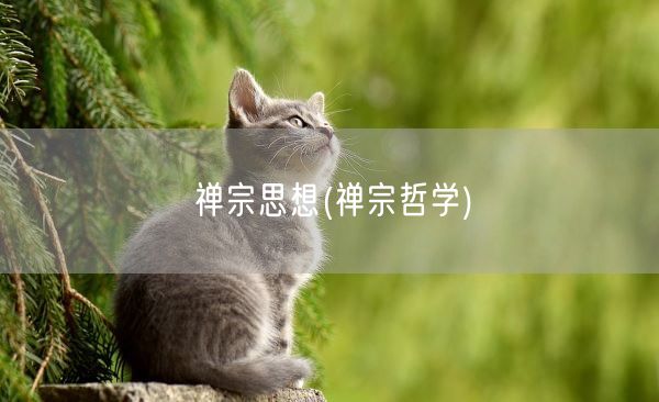 禅宗思想(禅宗哲学)(图1) 禅宗思想(禅宗哲学)(图1)