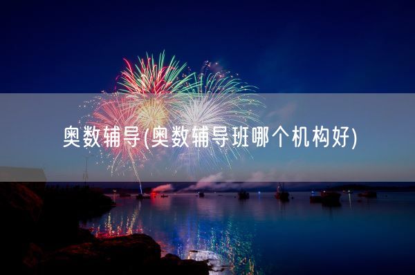 奥数辅导(奥数辅导班哪个机构好)(图1)