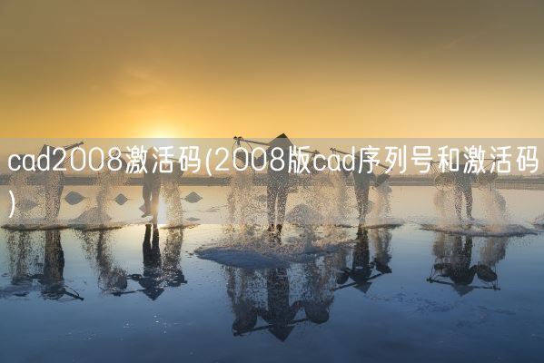 cad2008激活码(2008版cad序列号和激活码)(图1)